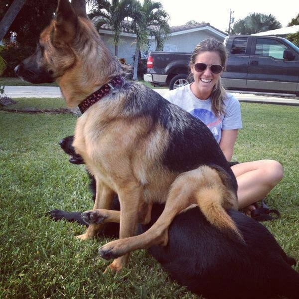 Юмор прикол