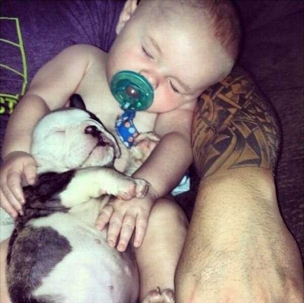 Смешной фотоприкол