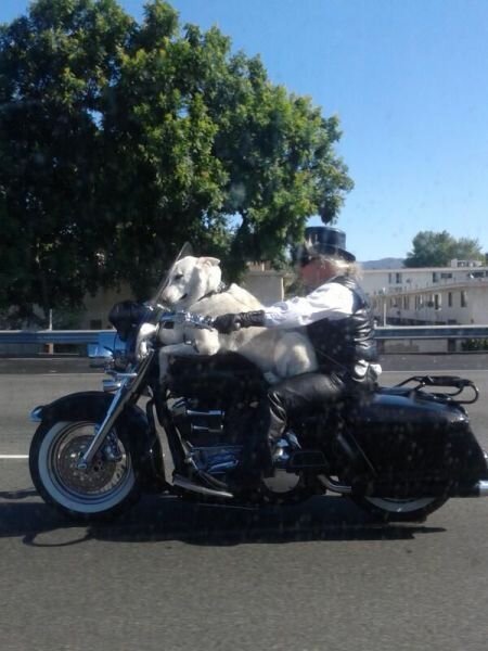 Прекрасные фото