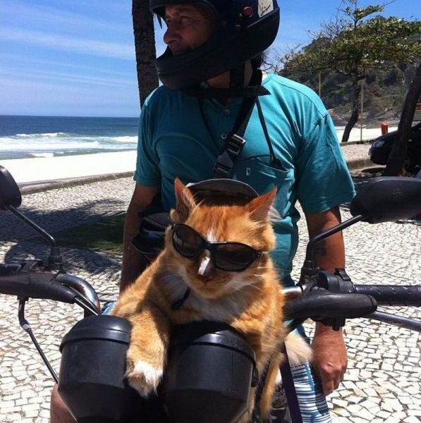 Фото прикол