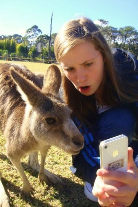 Бесплатный фотоприкол
