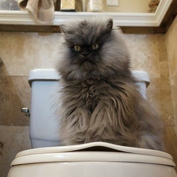 Красивые фото