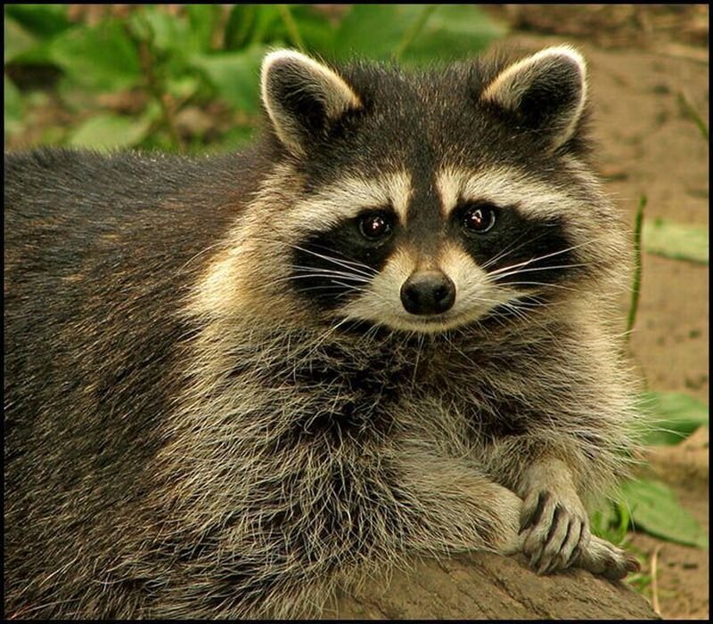 Юмор прикол