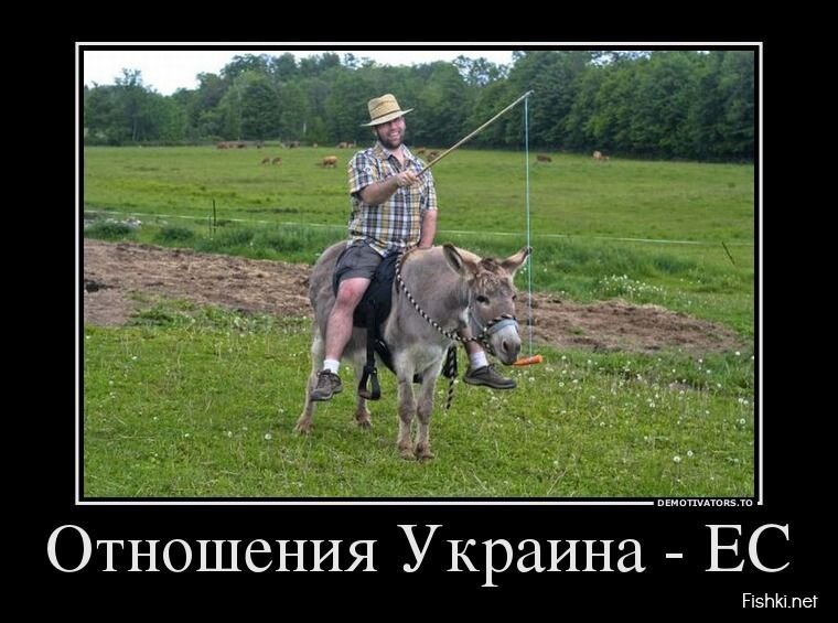 Смешной демотиватор от zubrilov за 19.07.2013 №162378