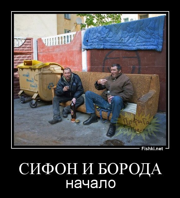 СИФОН и БОРОДА