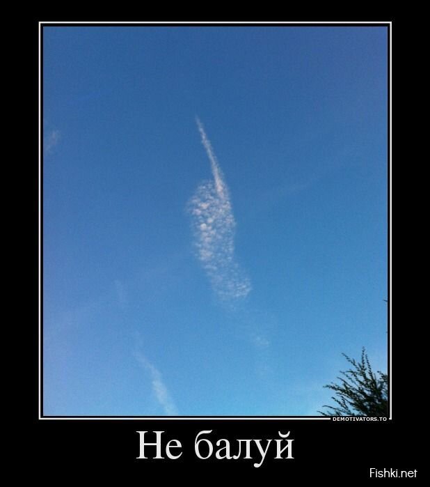 Смешной демотиватор от zubrilov за 22.07.2013 №162452