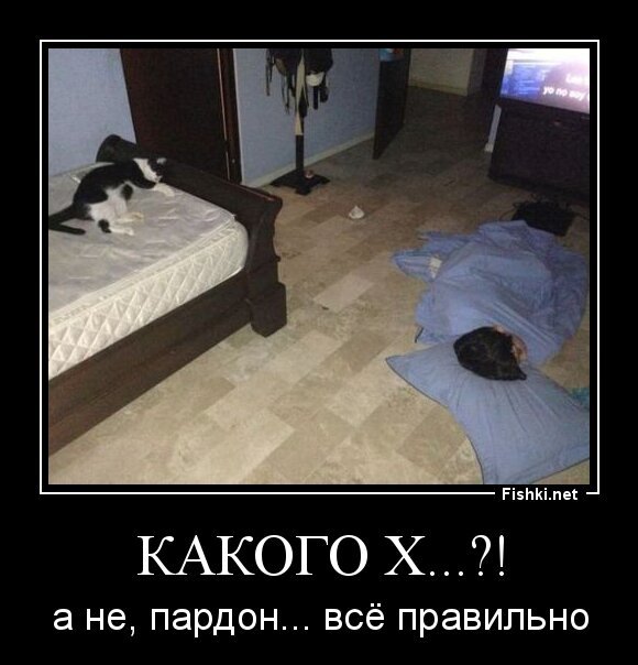 какого х...?!