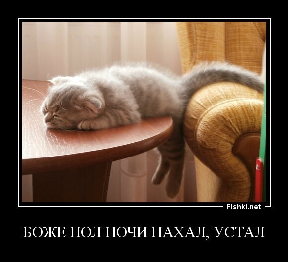 Боже пол ночи пахал, устал