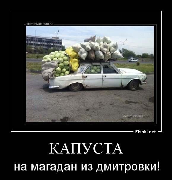 Капуста