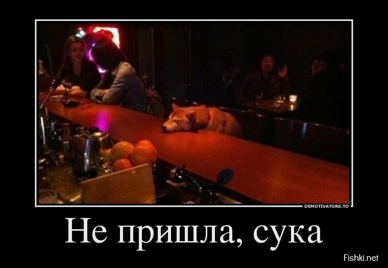 Смешной демотиватор от zubrilov за 24.07.2013 №162850