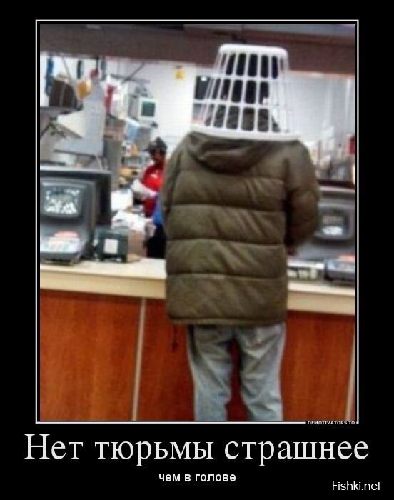 Демотиватор
