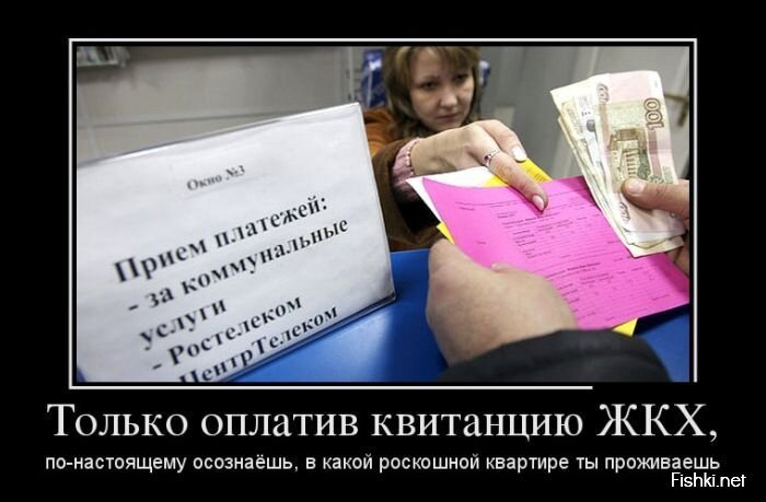 Смешной демотиватор от zubrilov за 26.07.2013 №163073