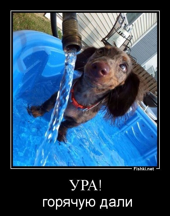 Ура!