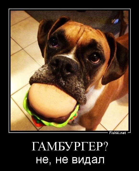 Гамбургер?