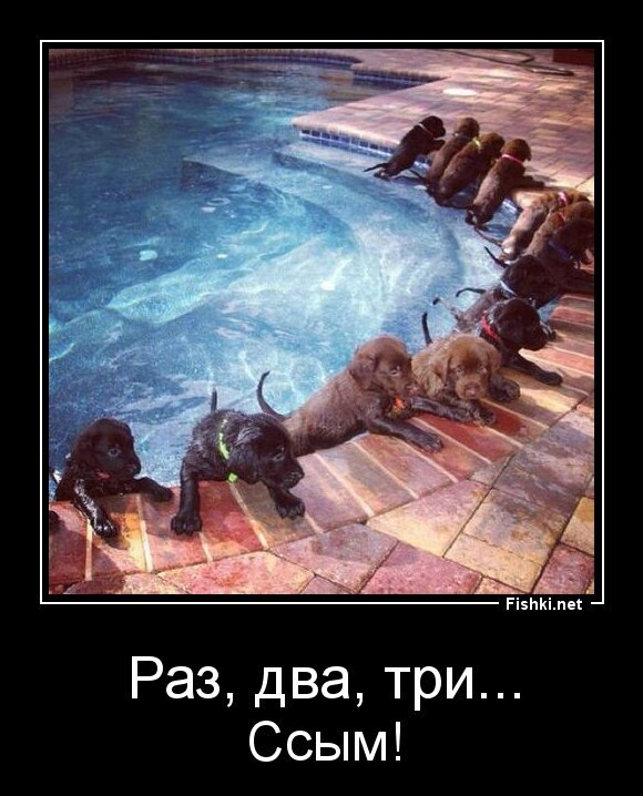 Раз, два, три...