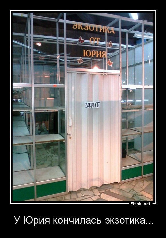 У Юрия кончилась экзотика...
