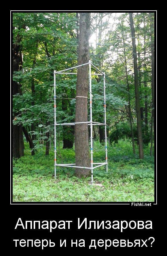 Аппарат Илизарова