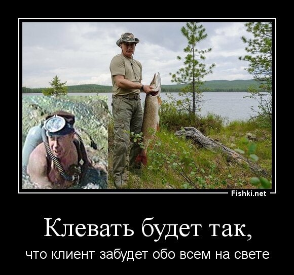 Клевать будет так,