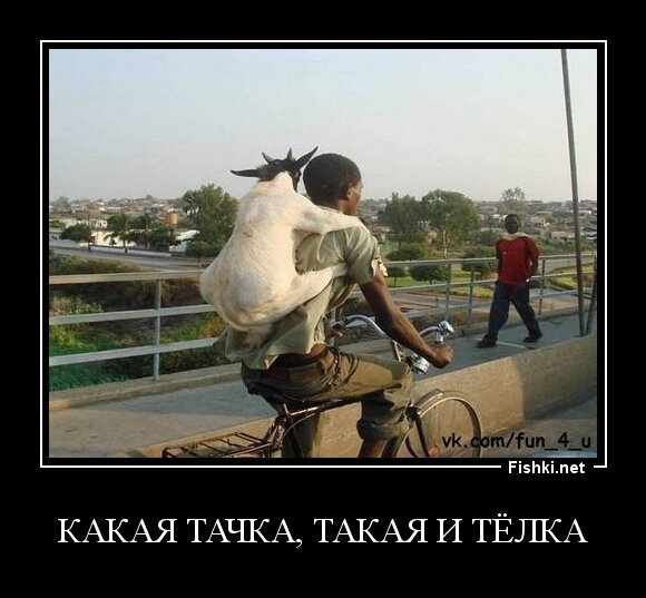 КАКАЯ ТАЧКА, ТАКАЯ И ТЁЛКА