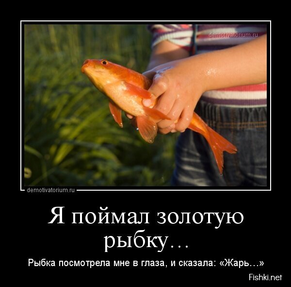 Смешной демотиватор от zubrilov за 29.07.2013 №163259