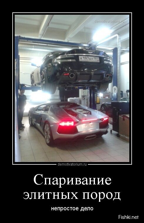 Смешной демотиватор от zubrilov за 29.07.2013 №163260