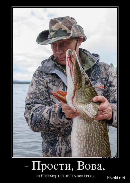 Смешной демотиватор от zubrilov за 29.07.2013 №163263