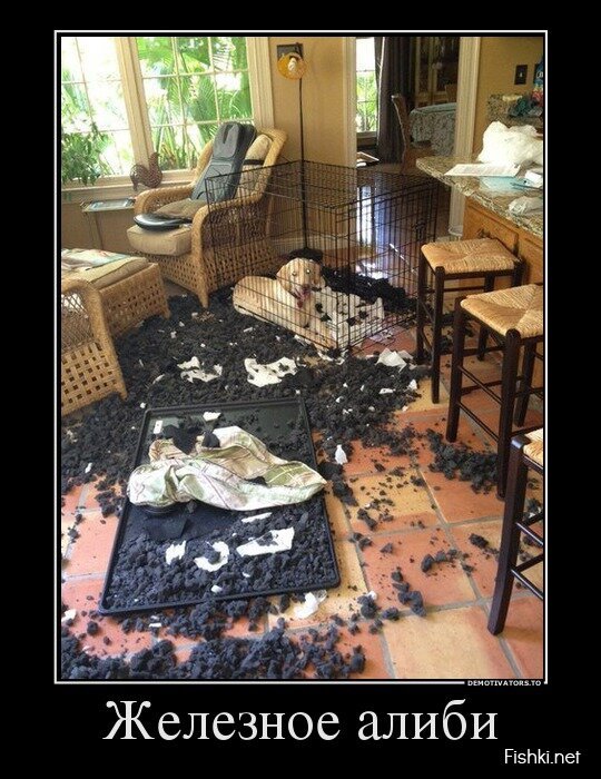 Смешной демотиватор от zubrilov за 29.07.2013 №163265