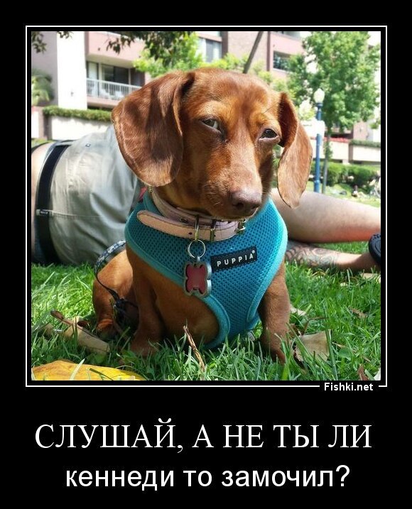 Слушай, а не ты ли 