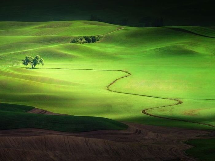 Шикарное фото