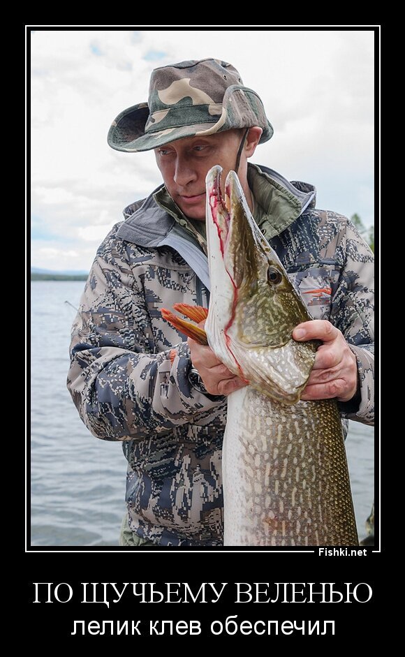 По щучьему веленью