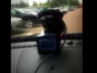 Подборка роликов