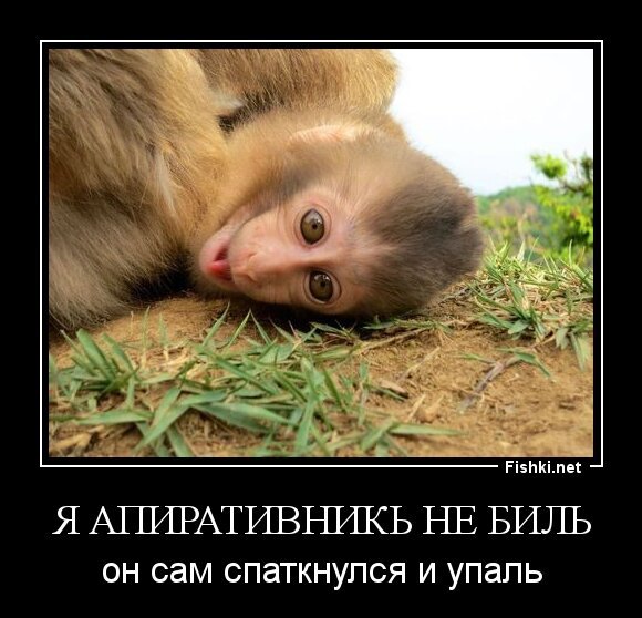 я апиративникь не биль