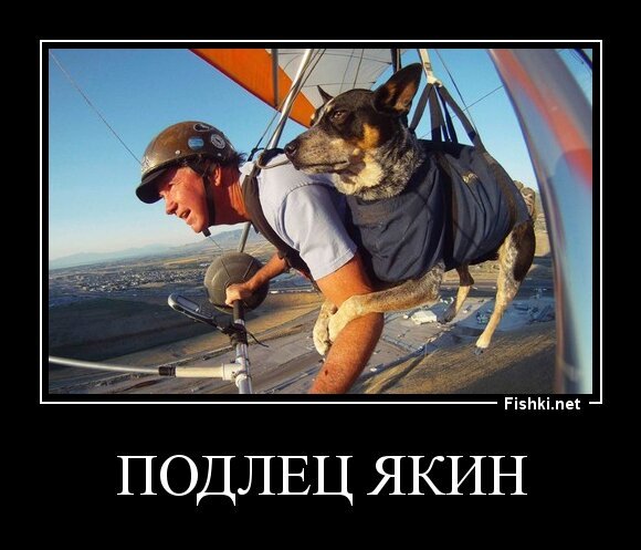 Подлец Якин