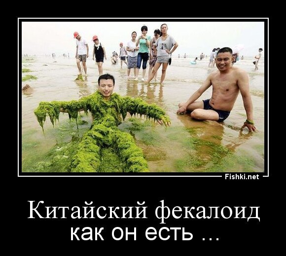 Китайский фекалоид