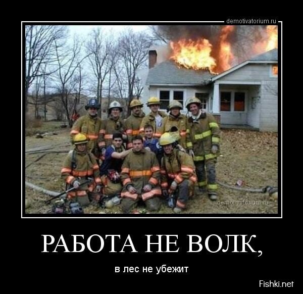 Смешной демотиватор от zubrilov за 31.07.2013 №163514