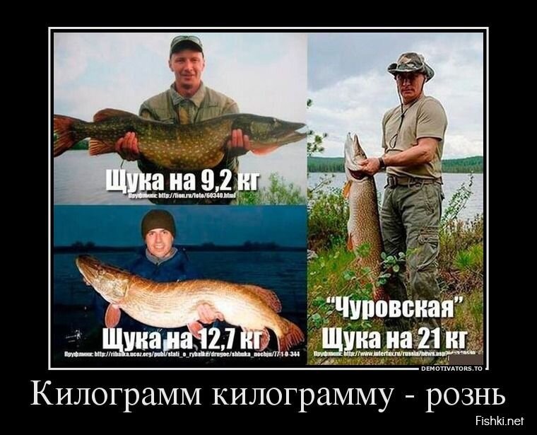 Смешной демотиватор от zubrilov за 31.07.2013 №163515