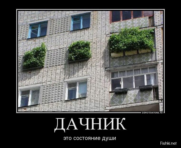 Смешной демотиватор от zubrilov за 31.07.2013 №163517