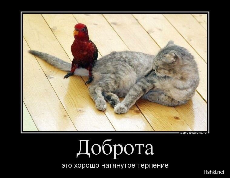 Смешной демотиватор от zubrilov за 31.07.2013 №163520