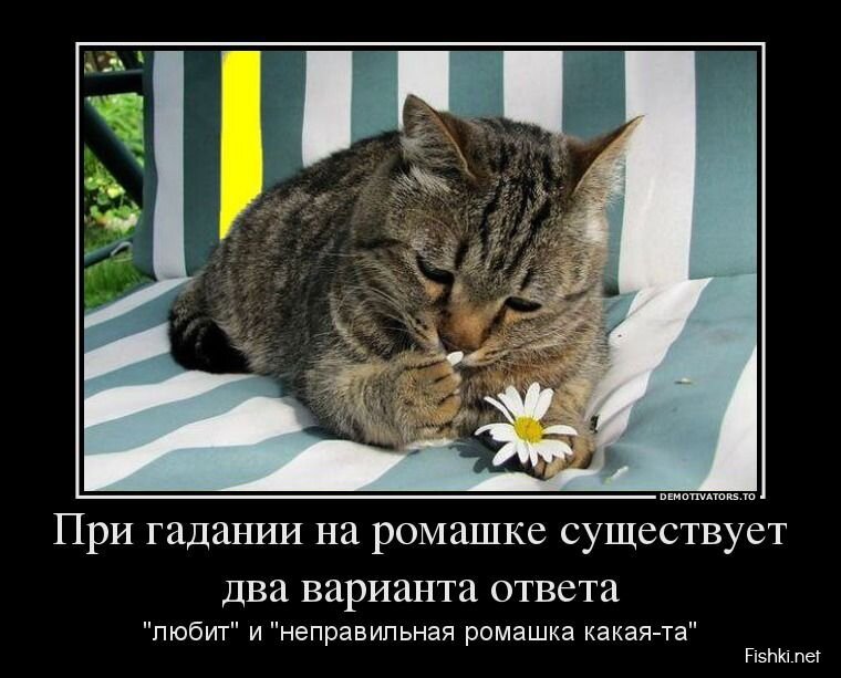 Смешной демотиватор от zubrilov за 31.07.2013 №163528