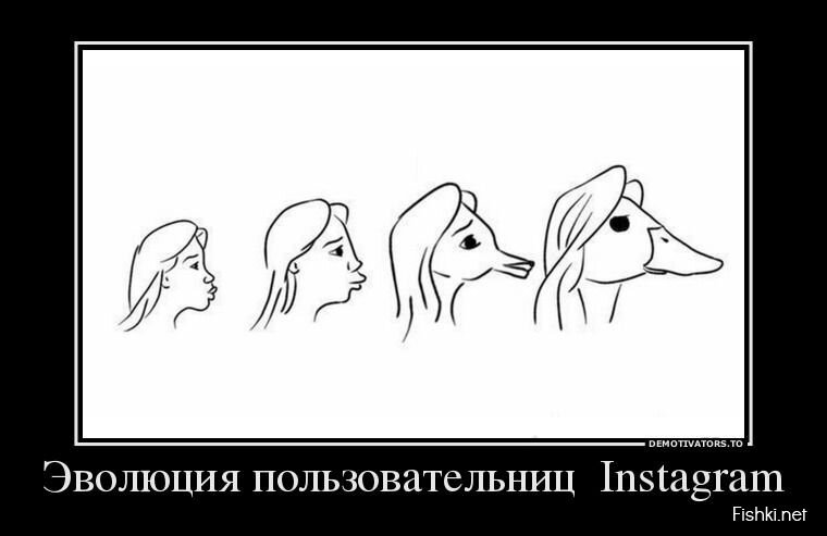 Смешной демотиватор от zubrilov за 31.07.2013 №163532