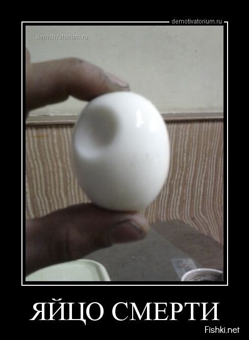 Смешной демотиватор от zubrilov за 31.07.2013 №163536