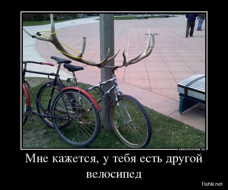 Смешной демотиватор от zubrilov за 31.07.2013 №163537