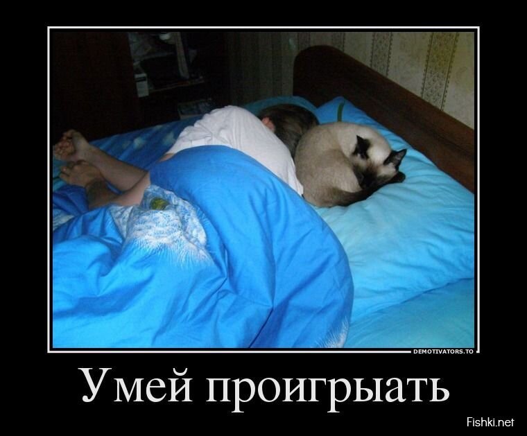 Смешной демотиватор от zubrilov за 31.07.2013 №163548