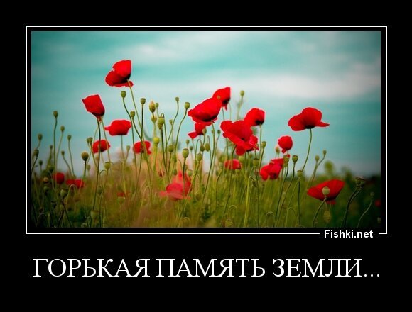 горькая память земли...