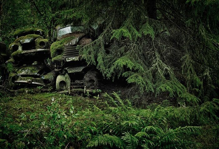 Кладбище старинных автомобилей (14 фото+видео)