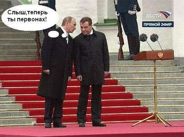 Медведко (38 фото)