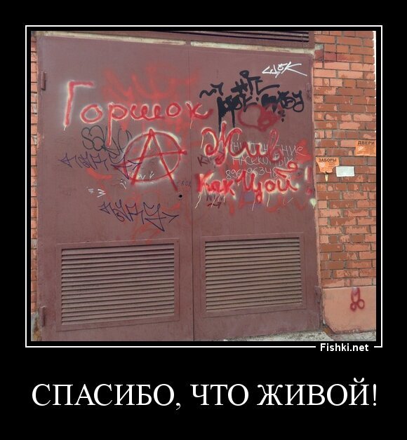 Спасибо, что живой!