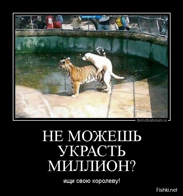 Смешной демотиватор от zubrilov за 02.08.2013 №163823