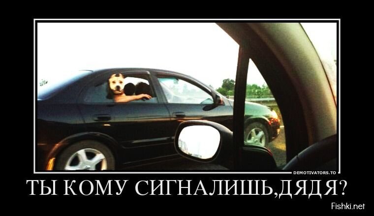 Смешной демотиватор от zubrilov за 02.08.2013 №163827