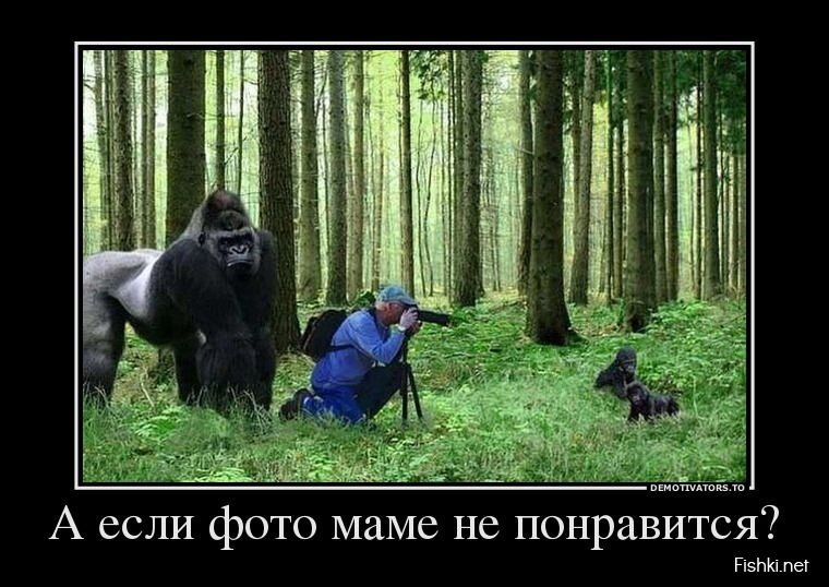 Смешной демотиватор от zubrilov за 02.08.2013 №163835